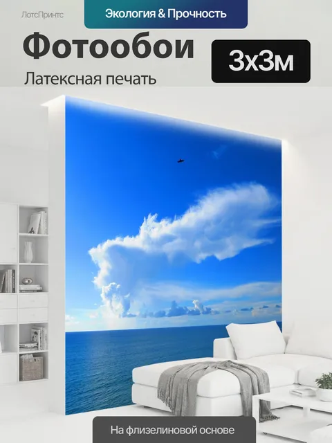 300 × 300 см · Латексная печать