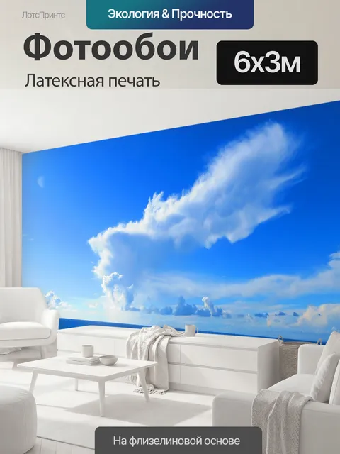 600 × 300 см · Латексная печать