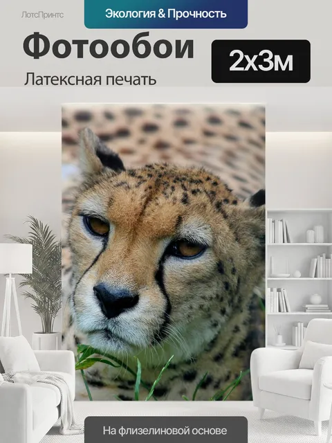 200 × 300 см · Латексная печать