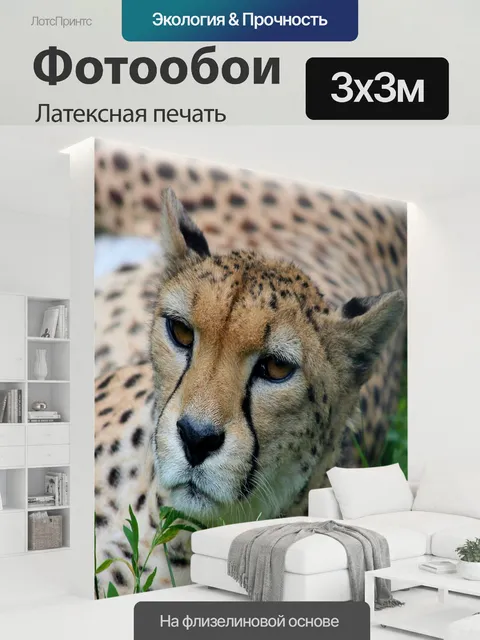 300 × 300 см · Латексная печать
