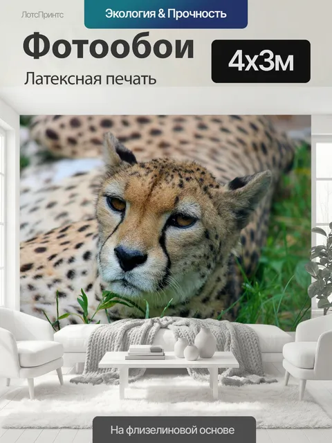 400 × 300 см · Латексная печать