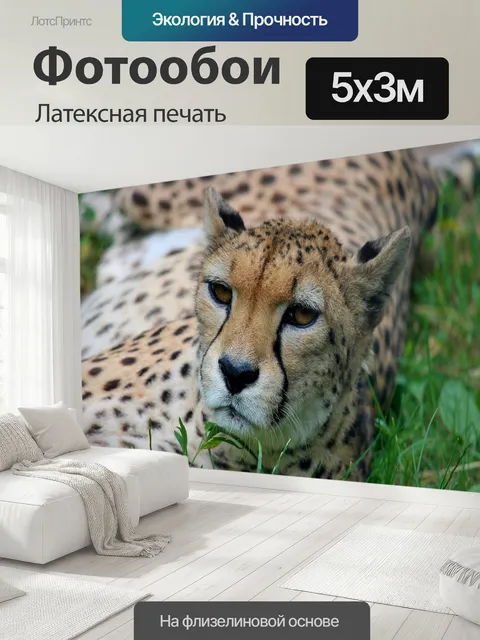 500 × 300 см · Латексная печать