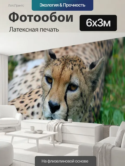 600 × 300 см · Латексная печать