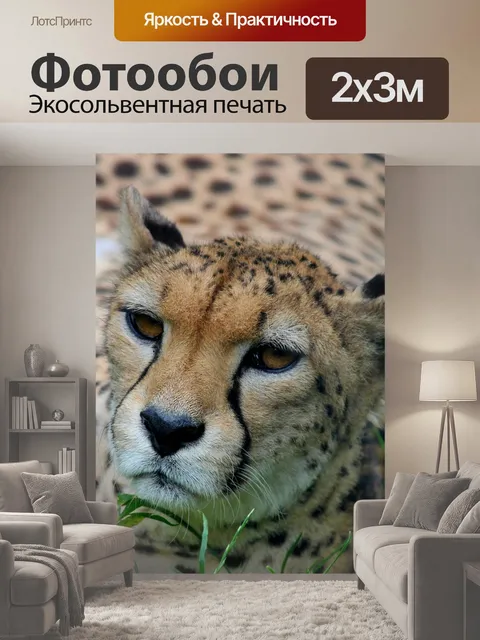 200 × 300 см · Экосольвентная печать