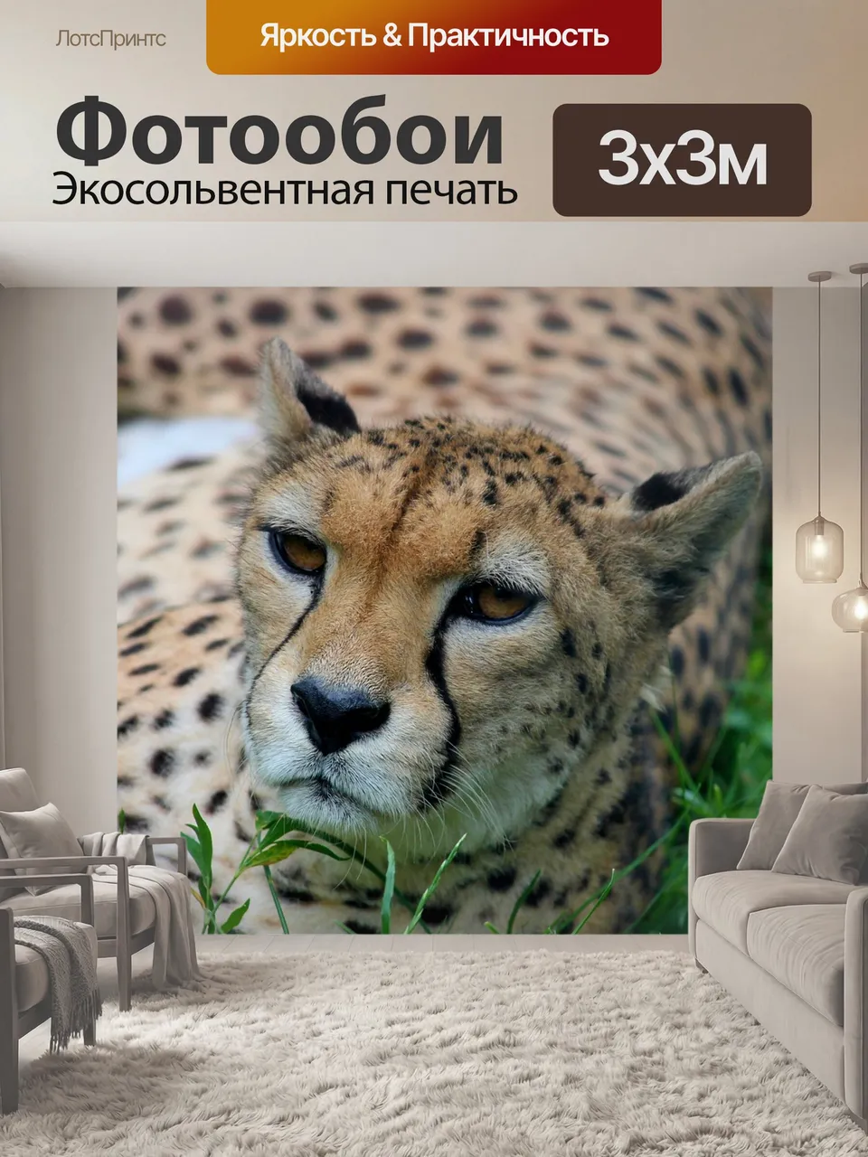 Фотообои Гепард, закрывать, хищник