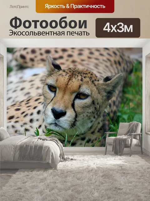 400 × 300 см · Экосольвентная печать