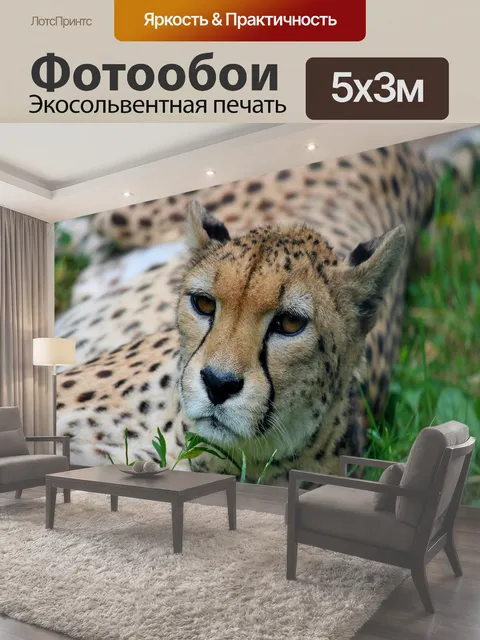 500 × 300 см · Экосольвентная печать