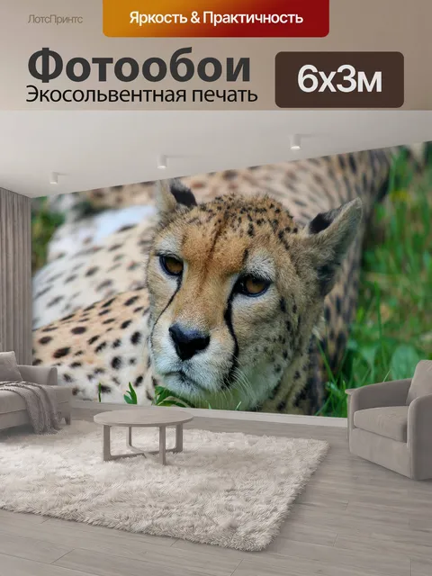 600 × 300 см · Экосольвентная печать
