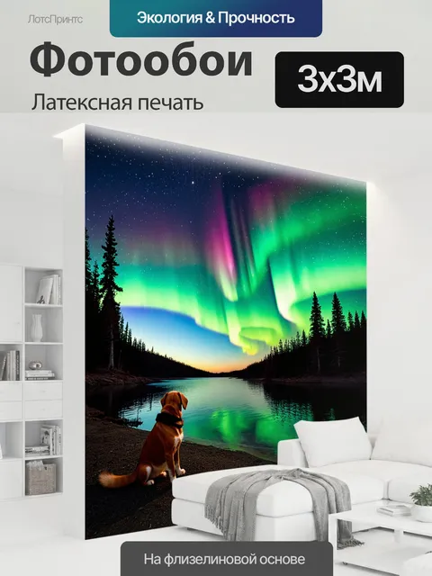 300 × 300 см · Латексная печать