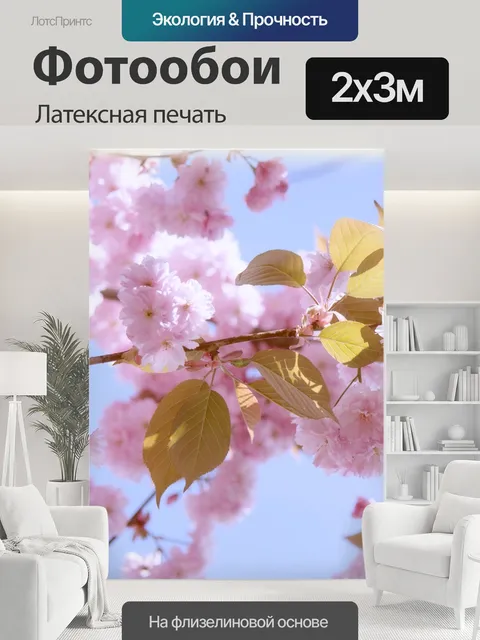 200 × 300 см · Латексная печать