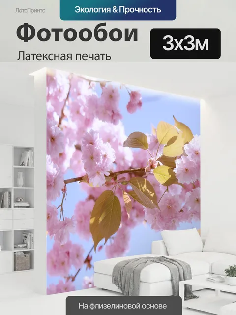 300 × 300 см · Латексная печать