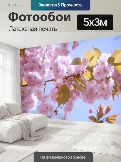 500 × 300 см · Латексная печать
