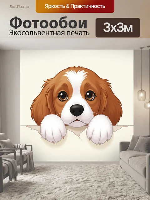 Фотообои Щенок спаниеля у края. Милый рыже-белый пес с большими глазами выглядывает из-за светлой поверхности, лапки н…
