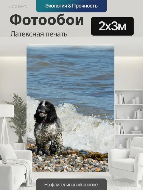 200 × 300 см · Латексная печать