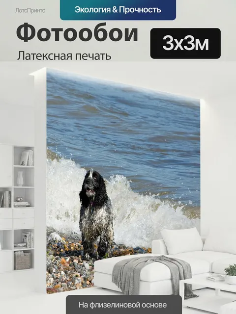 300 × 300 см · Латексная печать