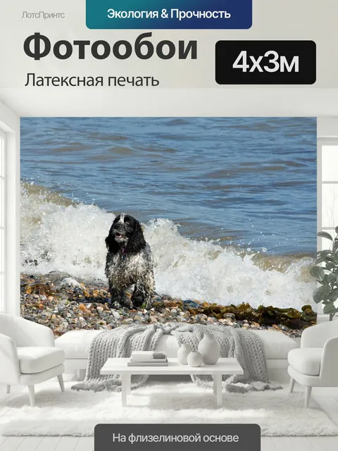 400 × 300 см · Латексная печать