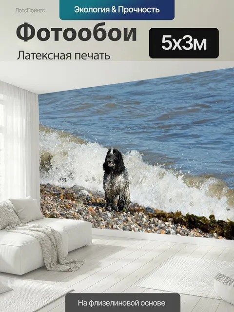 500 × 300 см · Латексная печать