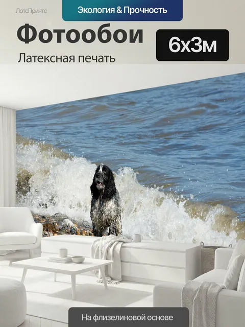 600 × 300 см · Латексная печать