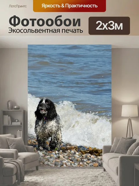 200 × 300 см · Экосольвентная печать