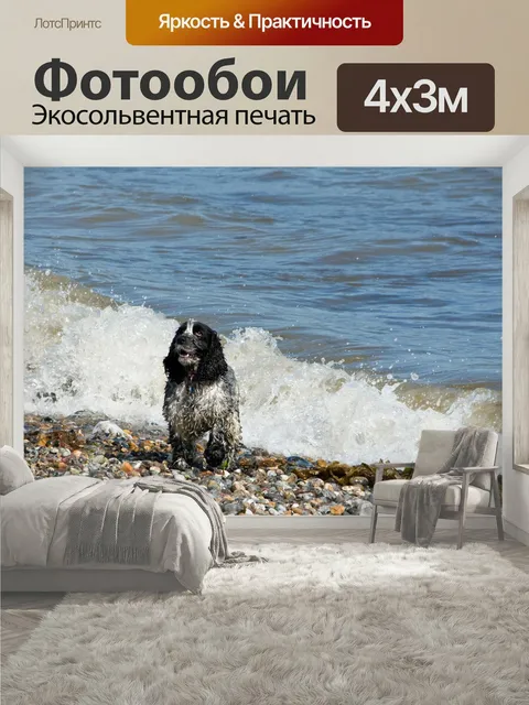 400 × 300 см · Экосольвентная печать