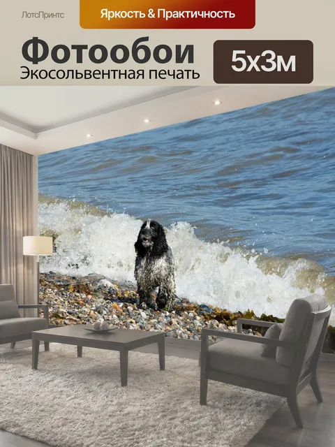 Фотообои Собака на океан Кокер-спаниель постоянных