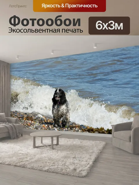 600 × 300 см · Экосольвентная печать