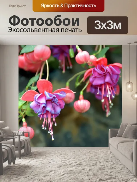Фотообои Цветок, фуксия, расцветает