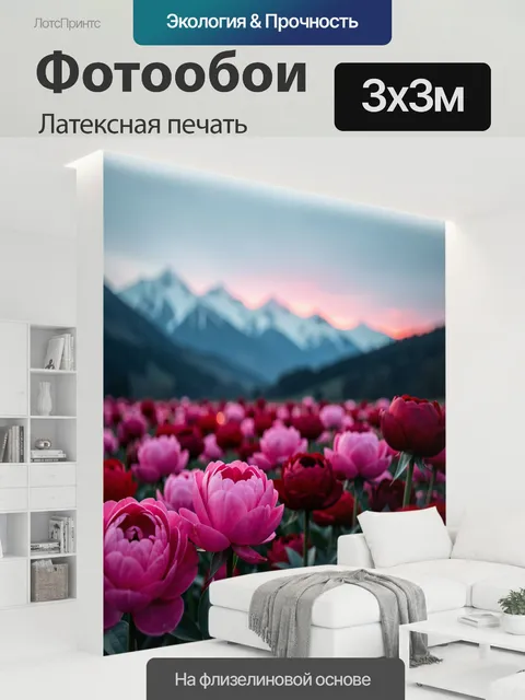 300 × 300 см · Латексная печать