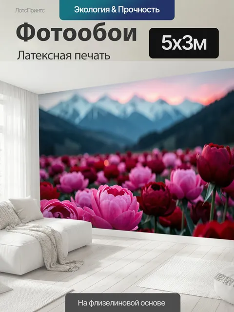 500 × 300 см · Латексная печать
