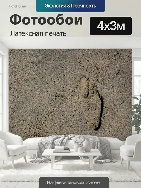 400 × 300 см · Латексная печать