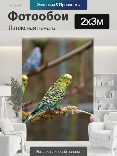 200 × 300 см · Латексная печать