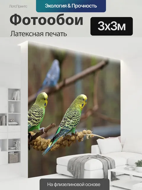 300 × 300 см · Латексная печать