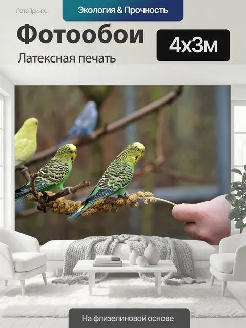 400 × 300 см · Латексная печать