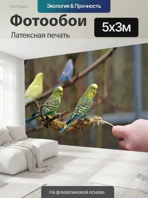 500 × 300 см · Латексная печать