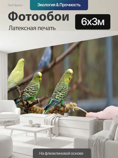 600 × 300 см · Латексная печать