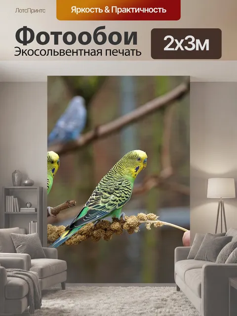 200 × 300 см · Экосольвентная печать