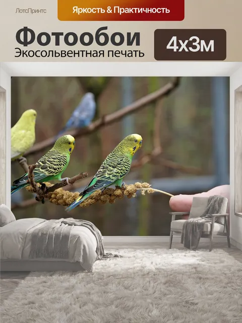 400 × 300 см · Экосольвентная печать