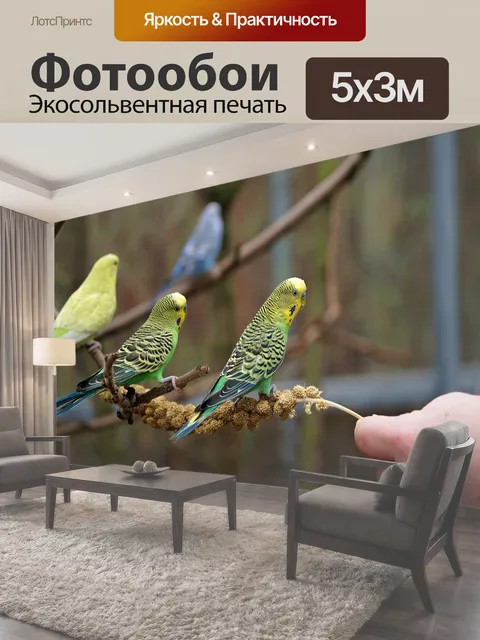 500 × 300 см · Экосольвентная печать