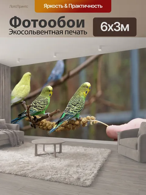 600 × 300 см · Экосольвентная печать