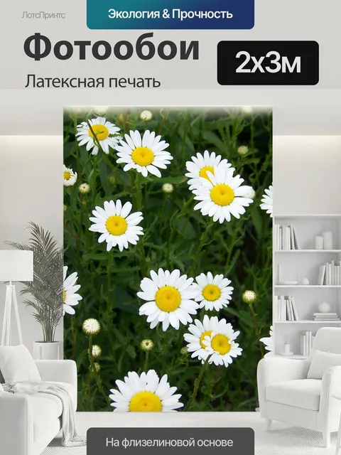 200 × 300 см · Латексная печать