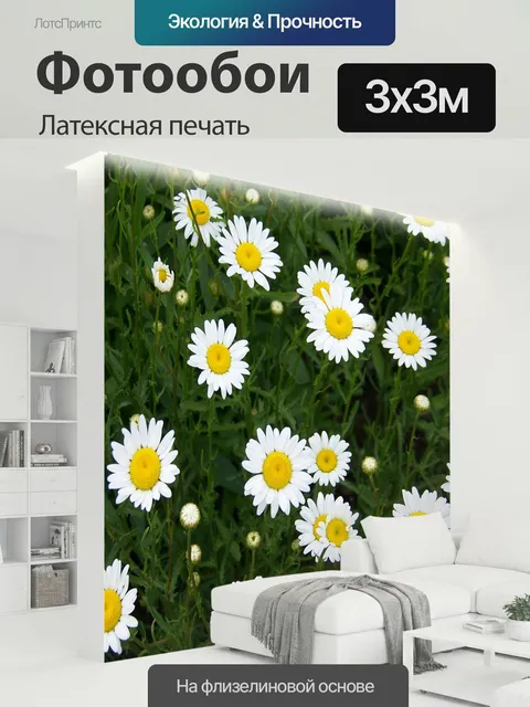 300 × 300 см · Латексная печать