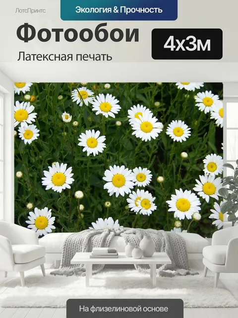 400 × 300 см · Латексная печать