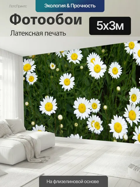 500 × 300 см · Латексная печать