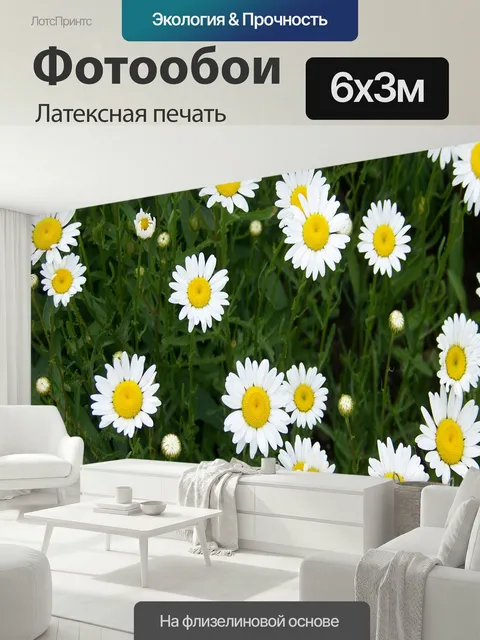 600 × 300 см · Латексная печать