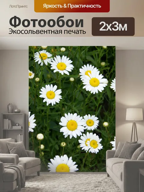 200 × 300 см · Экосольвентная печать
