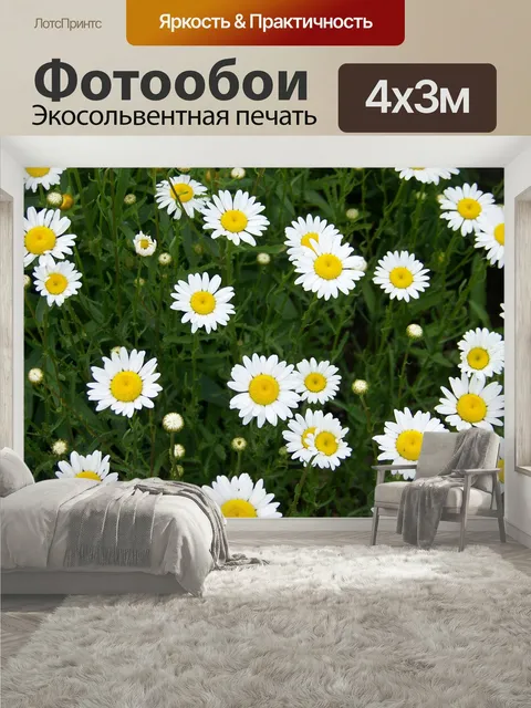 400 × 300 см · Экосольвентная печать