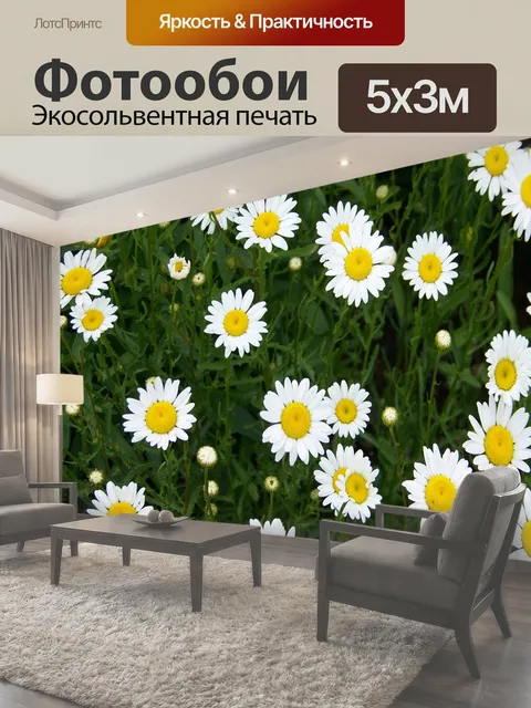 500 × 300 см · Экосольвентная печать