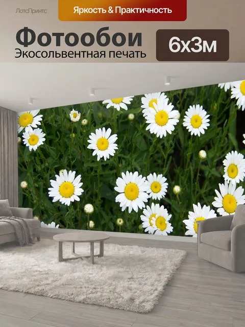 600 × 300 см · Экосольвентная печать