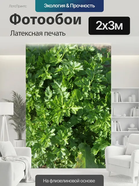 200 × 300 см · Латексная печать
