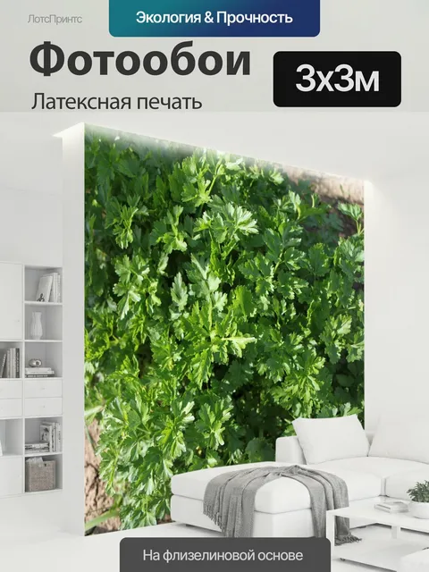 300 × 300 см · Латексная печать